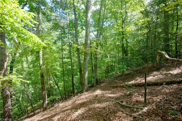 $248,000 | 1960 Rich Mountain Road, Morganton, NC 28655