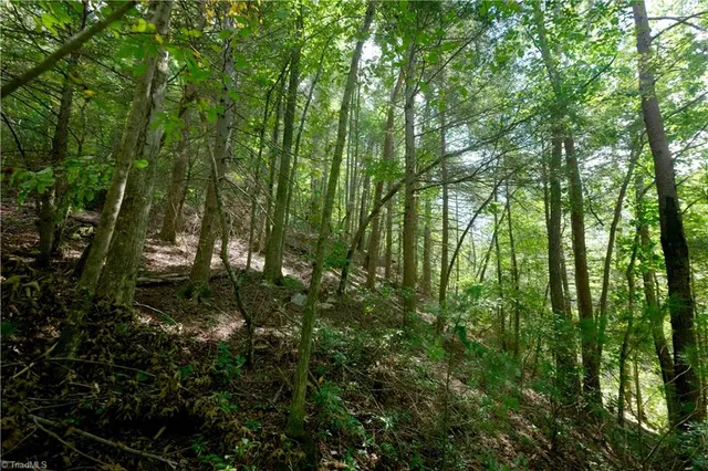 $248,000 | 1960 Rich Mountain Road, Morganton, NC 28655