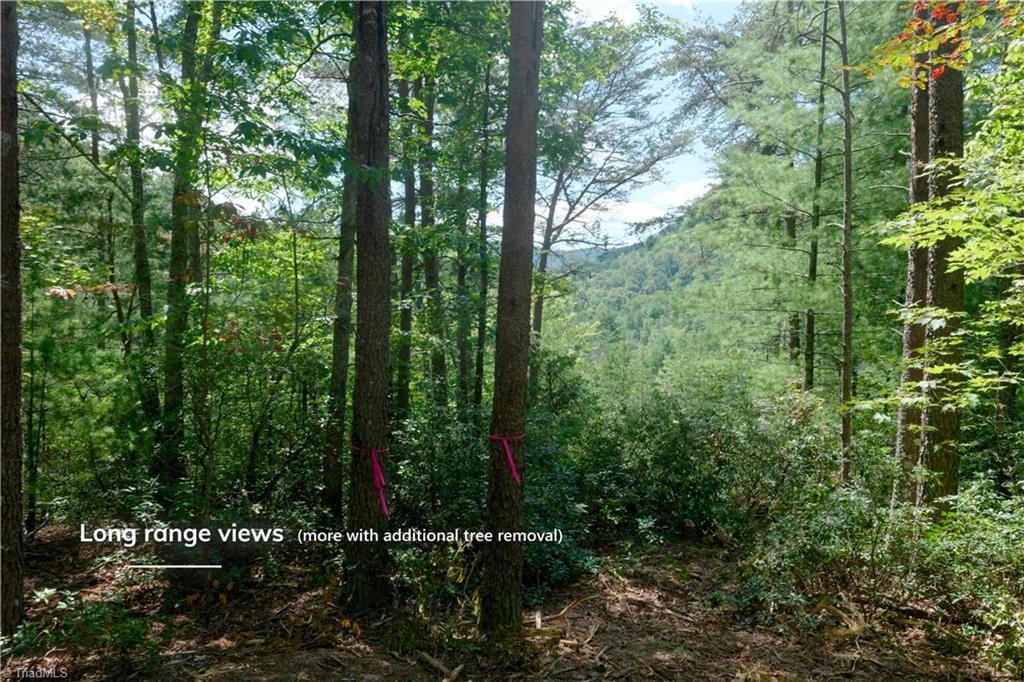 1960 Rich Mountain Road Morganton, NC 28655 - Photo 3 of 41