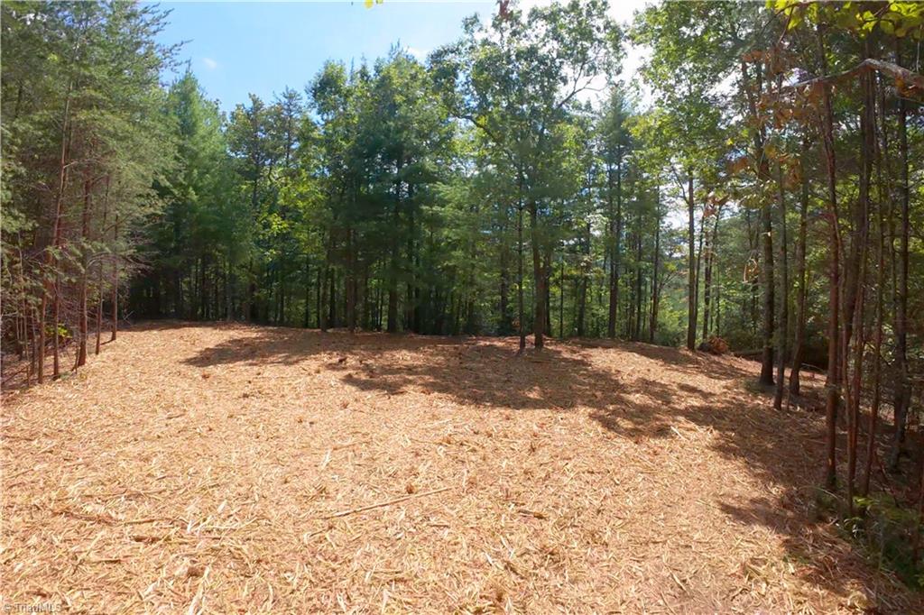 1960 Rich Mountain Road Morganton, NC 28655 - Photo 6 of 41