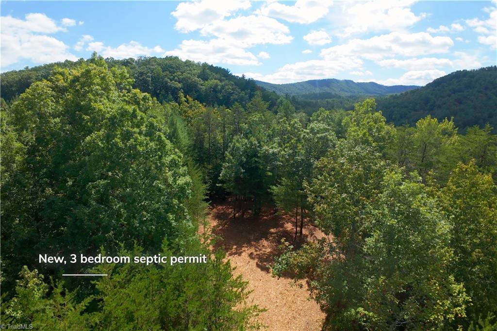 1960 Rich Mountain Road Morganton, NC 28655 - Photo 10 of 41