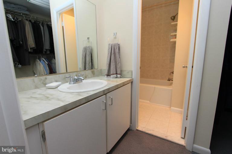 1894 Winterport Cluster Reston, VA 20191 - Photo 16 of 30 Bath (Master)