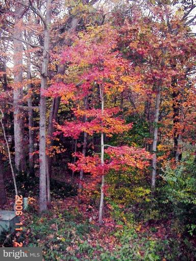 1894 Winterport Cluster Reston, VA 20191 - Photo 20 of 30 Autumn View