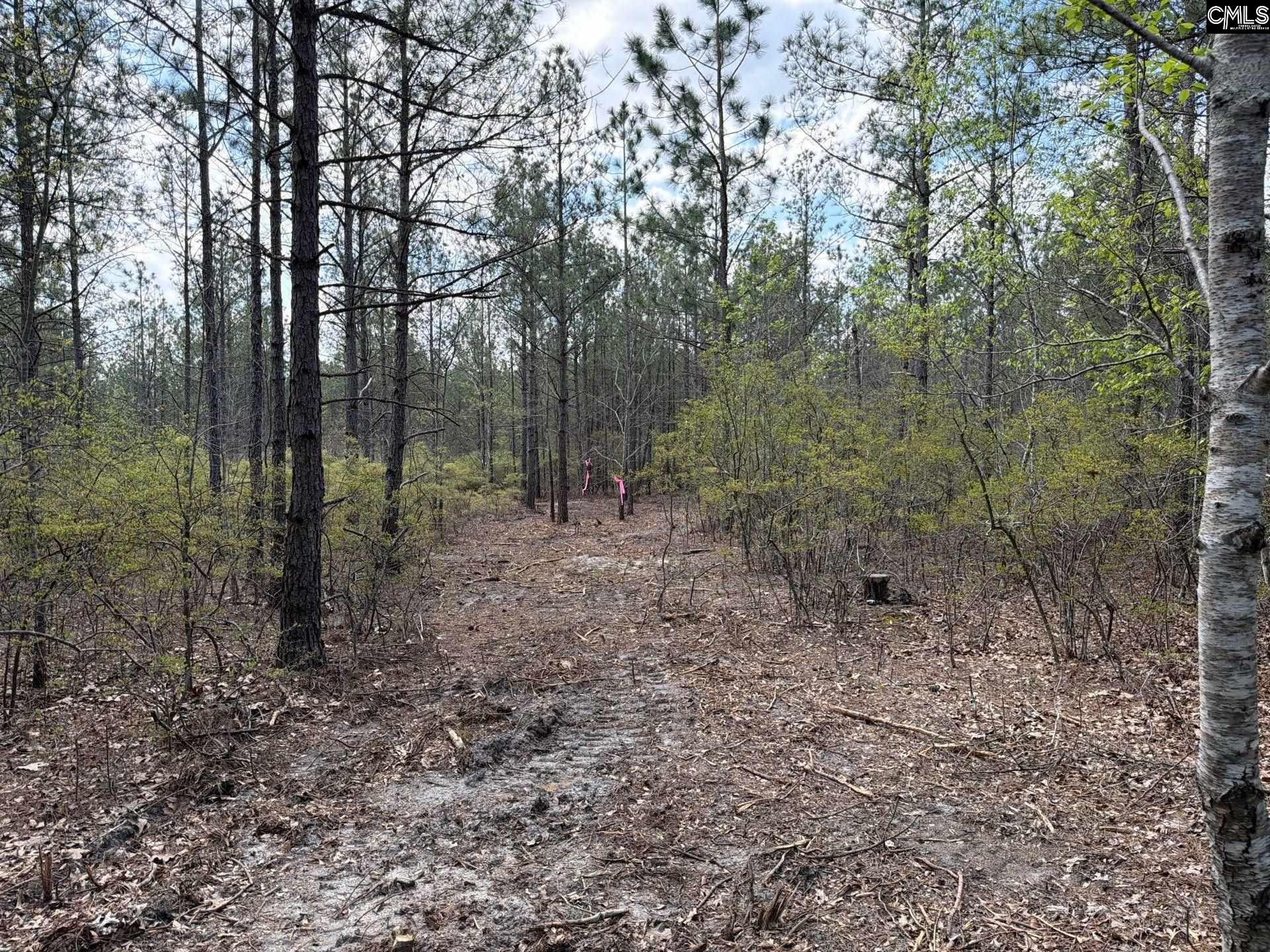 3 Mt Calvary Rd Ridge Spring Ridge Spring, SC 29129 - Photo 11 of 27