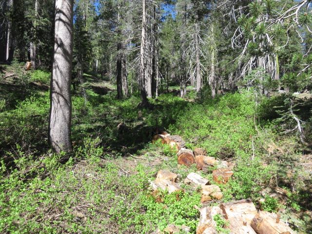 2073 Serene Road Soda Springs, CA 95728 - Photo 2 of 8 Gallery Image 2