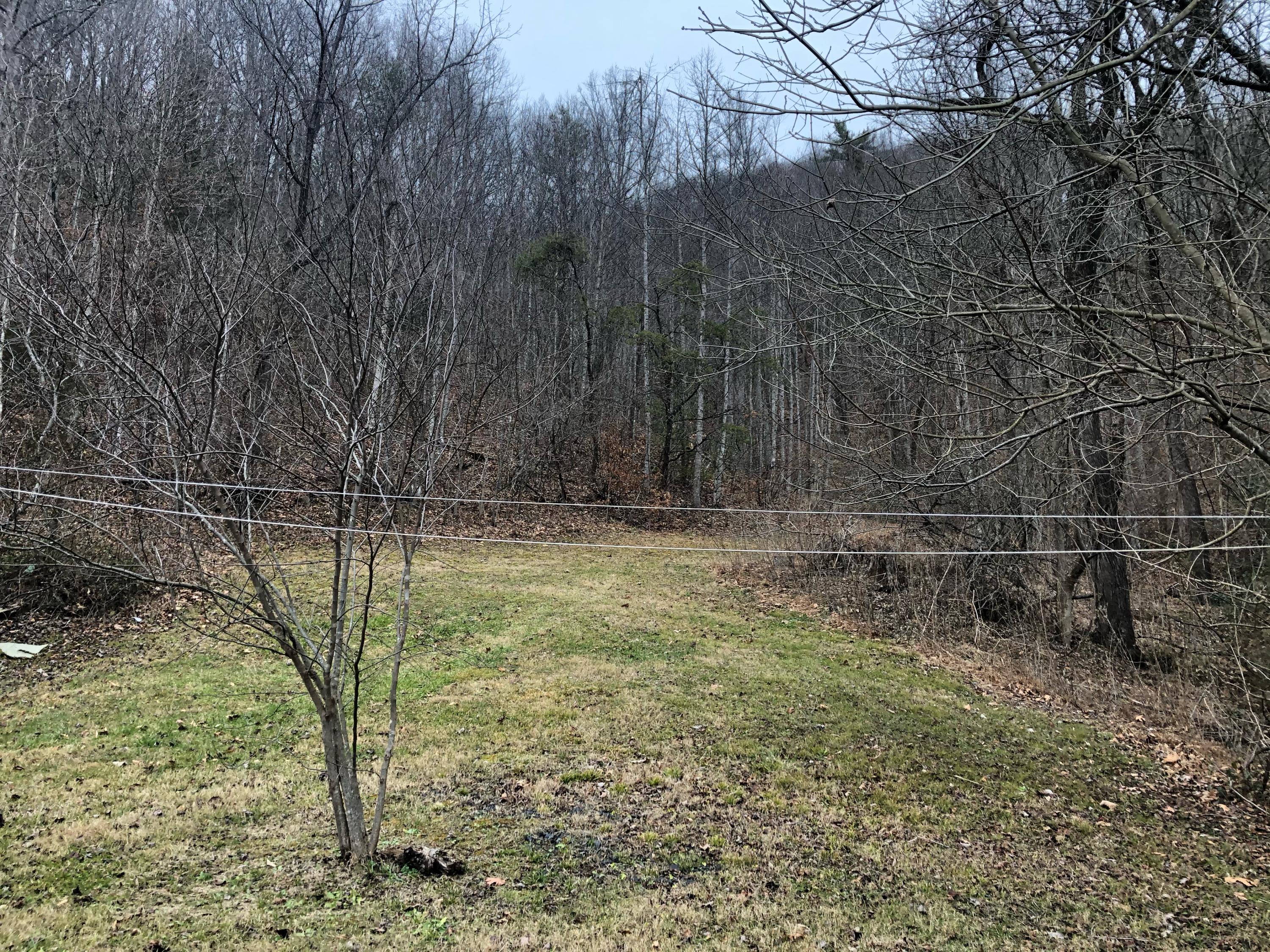 1260 Ryder Church Road Bluff City, TN 37618 - Photo 9 of 12 8BFE0684-BA8C-4DA5-B606-67470D7B21BB