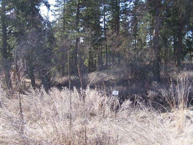 2016 Ringneck Loop Colville, WA 99114 - Photo 8 of 9 Gallery Image 8