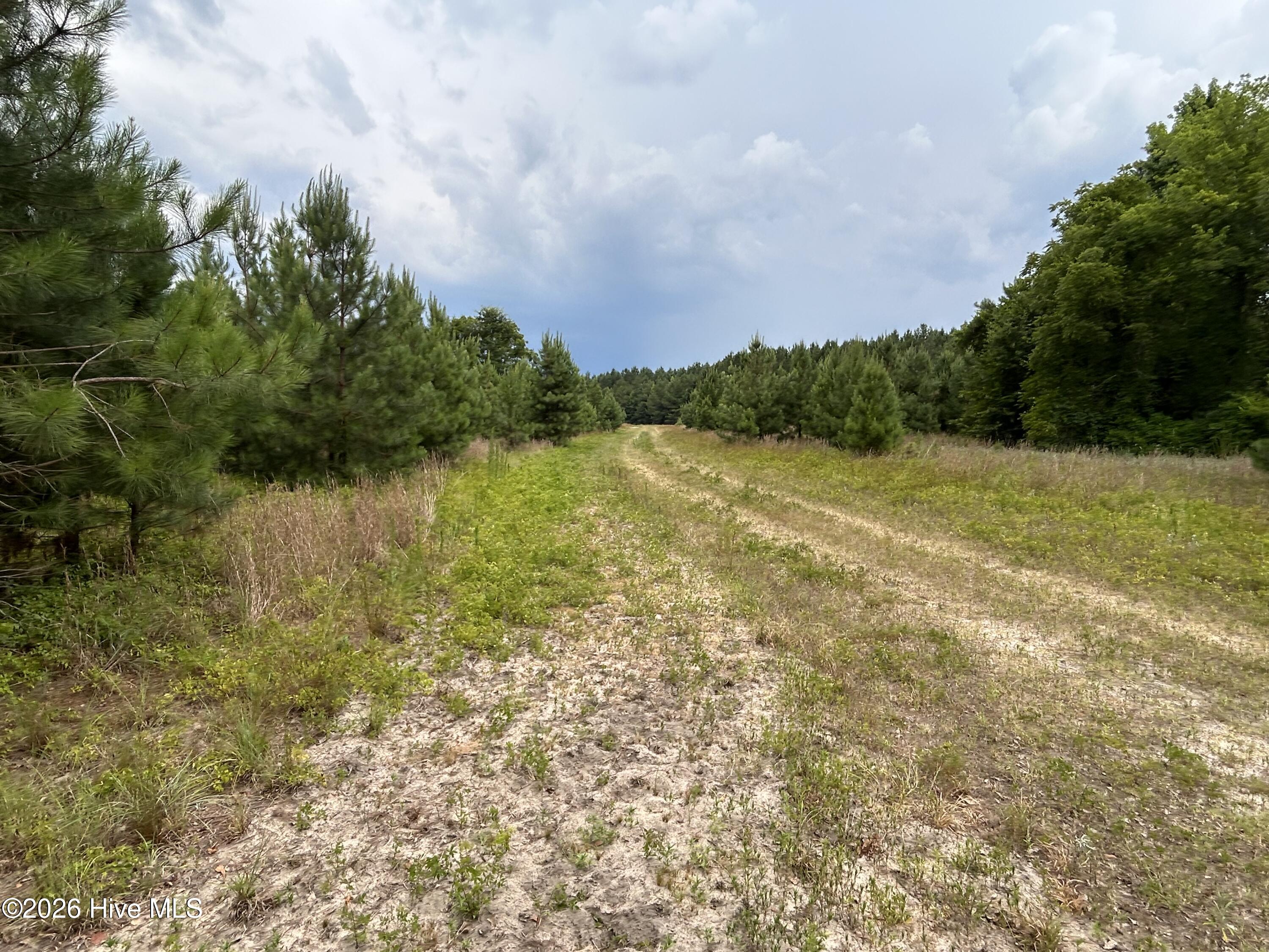 0 Autrytown Road Elizabethtown, NC 28337 - Photo 46 of 51 Gallery Image 46