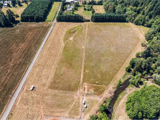 a view of a yard with plants