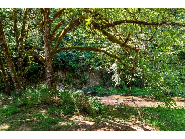 an aerial view of a house with a yard and a large tree