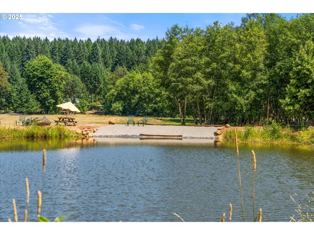 a view of a park with large trees