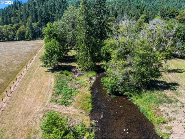 a view of a garden with plants