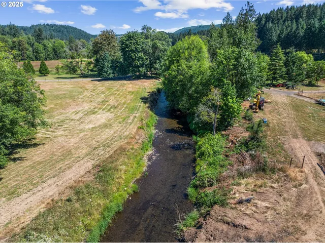 a view of a yard with a large trees