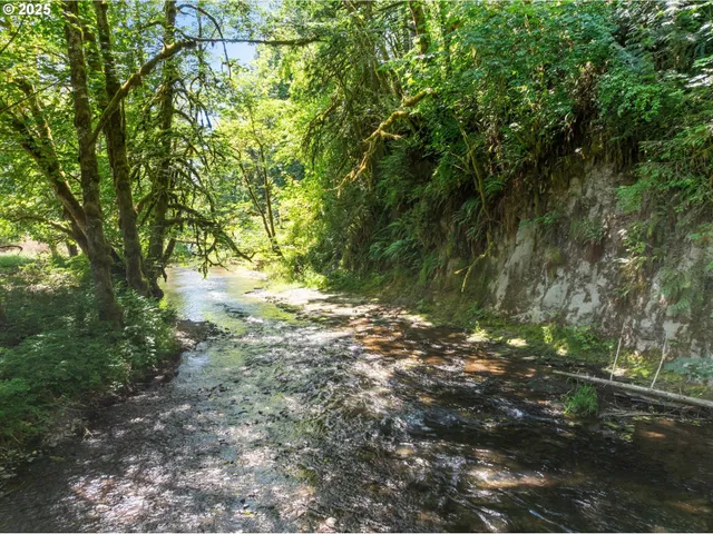 a view of a yard with a tree