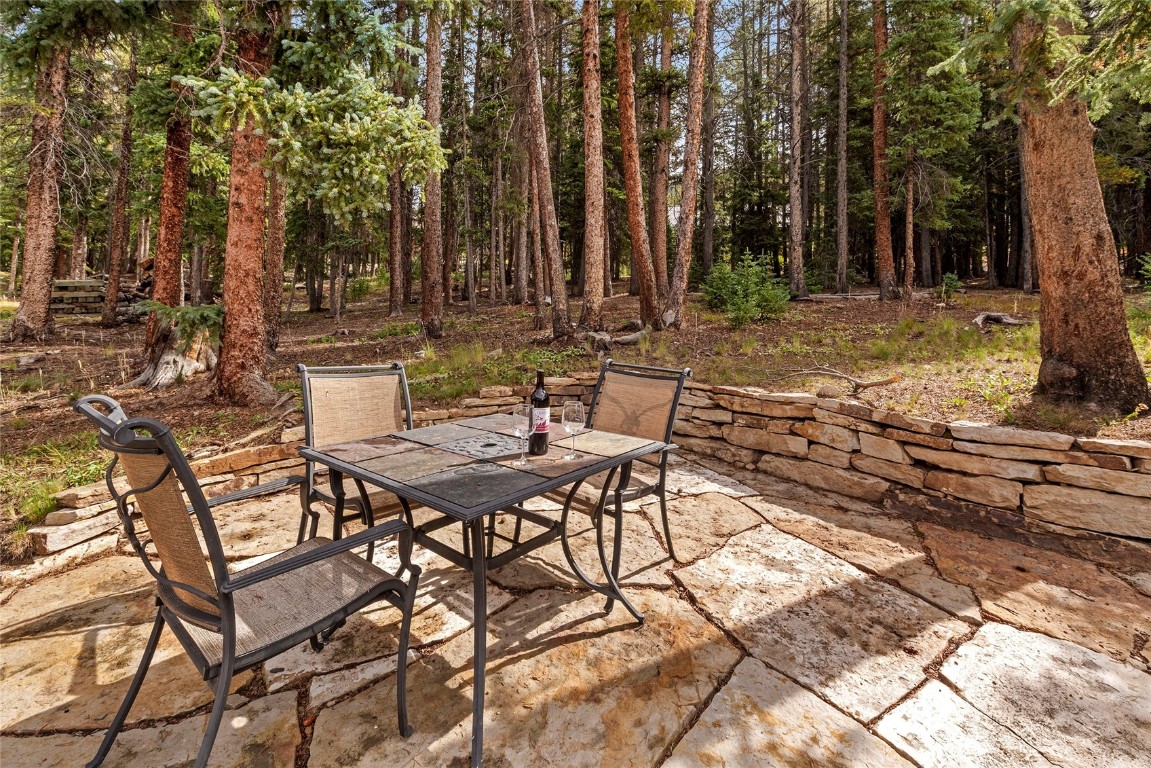 9 Davis Court Blue River, CO 80424 - Photo 33 of 44 a view of a backyard with sitting area