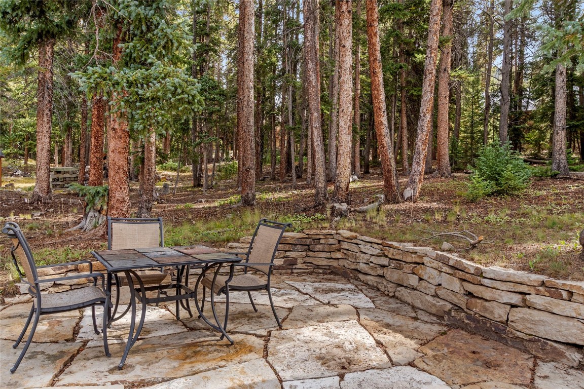 9 Davis Court Blue River, CO 80424 - Photo 34 of 44 a view of outdoor space with chairs