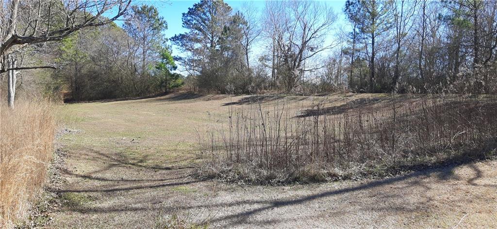 11953 Henderson Mountain Road Fairmount, GA 30139 - Photo 6 of 46 Gallery Image 6