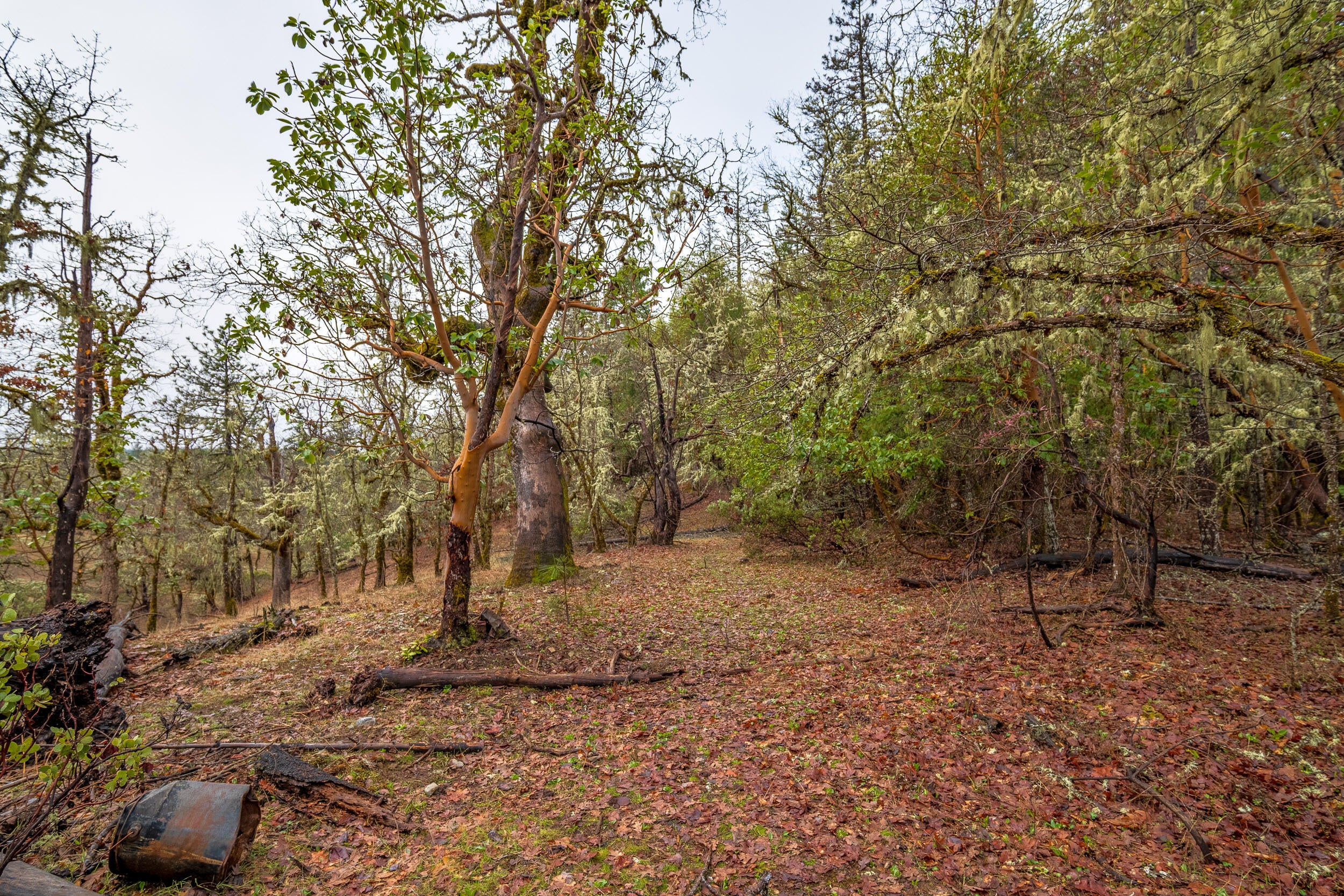 610 South Old Stage Road Cave Junction, OR 97523 - Photo 9 of 25 610SOldstageRd-011