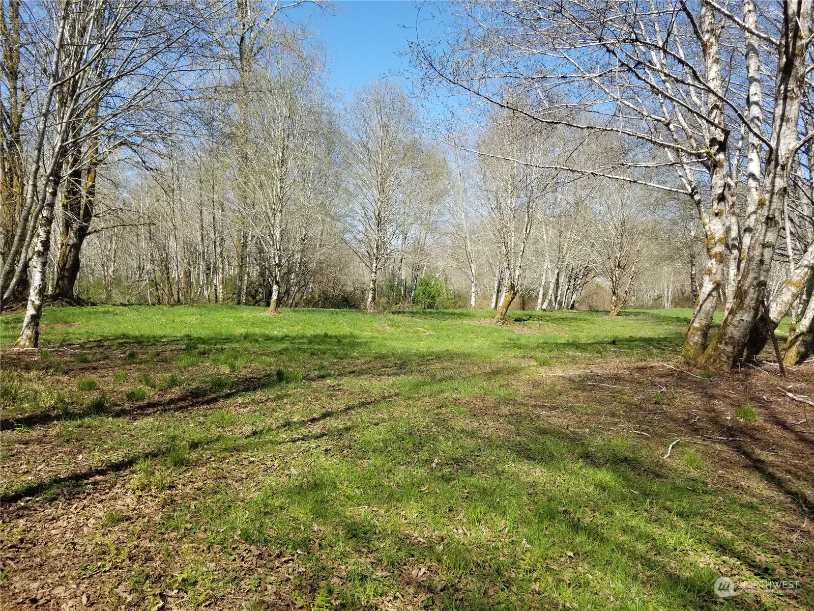0 Tuffree Road Hoquiam, WA 98550 - Photo 1 of 10 Gallery Image 1
