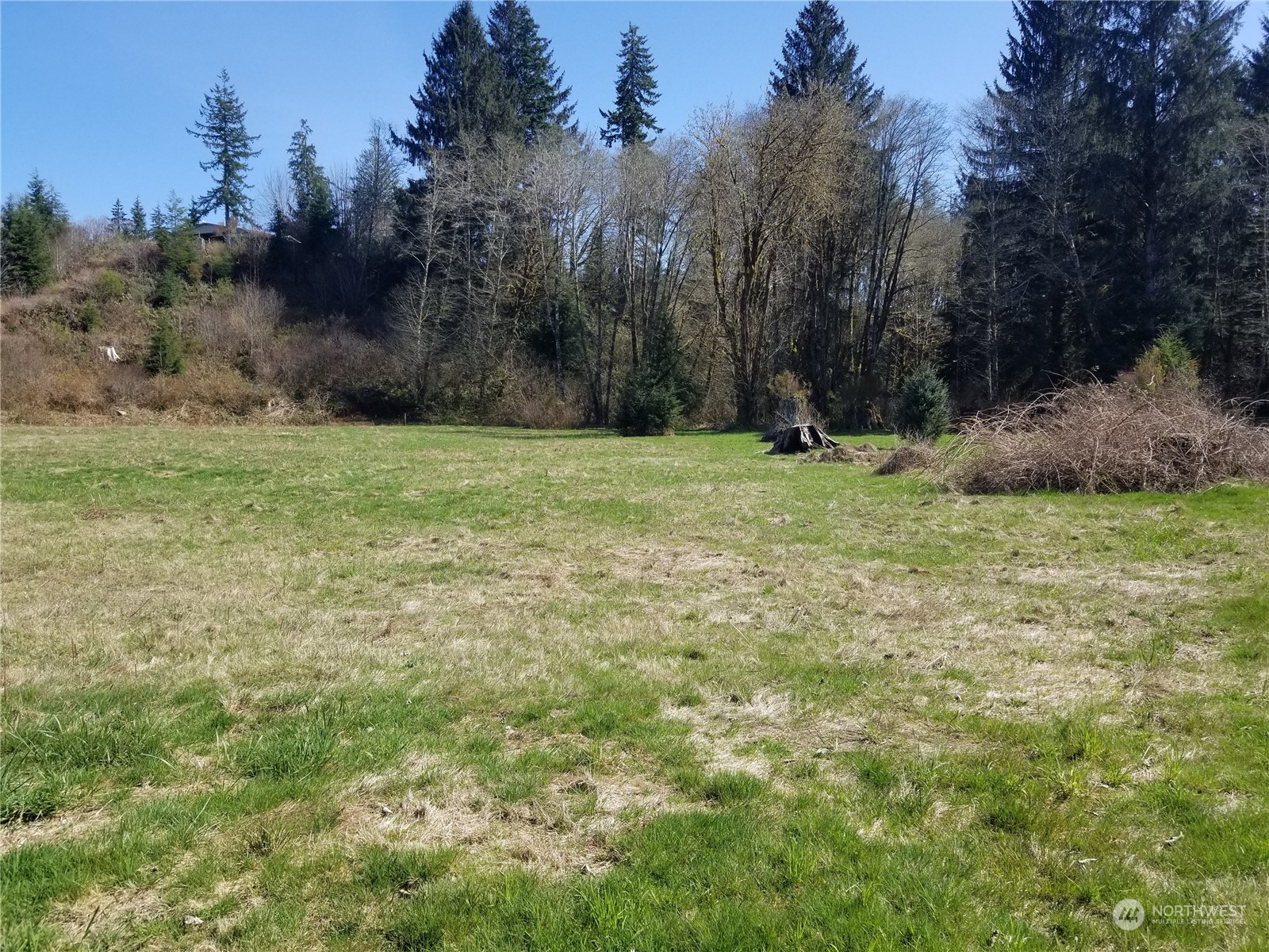 0 Tuffree Road Hoquiam, WA 98550 - Photo 2 of 10 Gallery Image 2