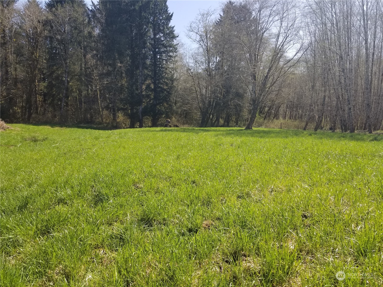 0 Tuffree Road Hoquiam, WA 98550 - Photo 3 of 10 Gallery Image 3