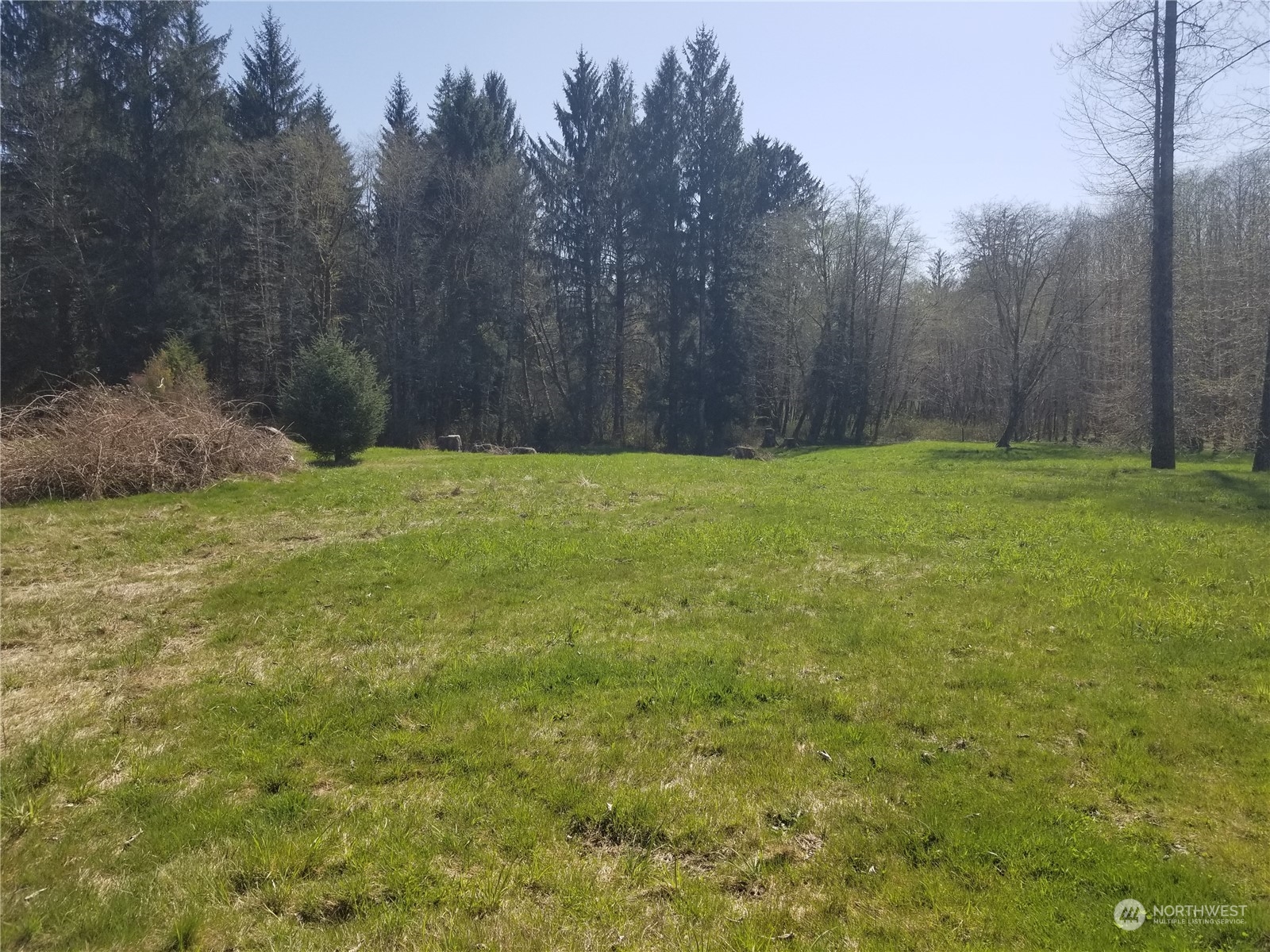 0 Tuffree Road Hoquiam, WA 98550 - Photo 4 of 10 Gallery Image 4