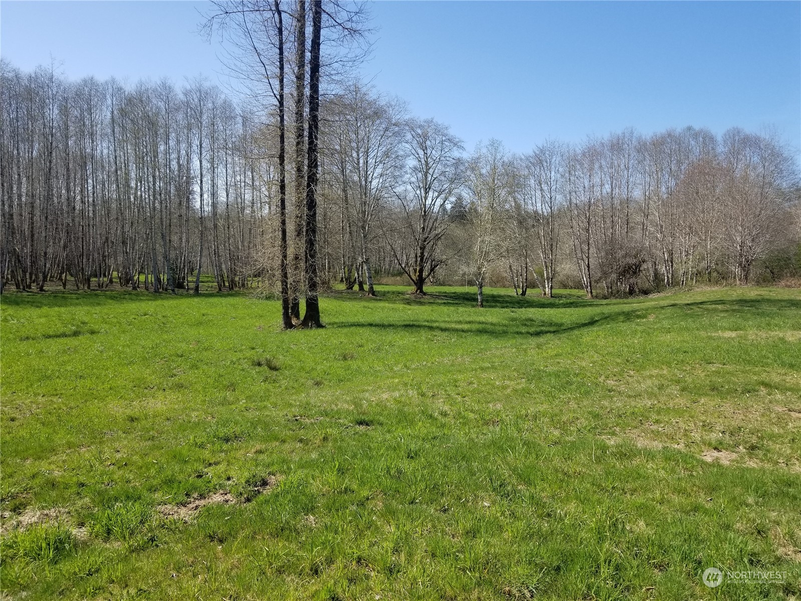 0 Tuffree Road Hoquiam, WA 98550 - Photo 5 of 10 Gallery Image 5