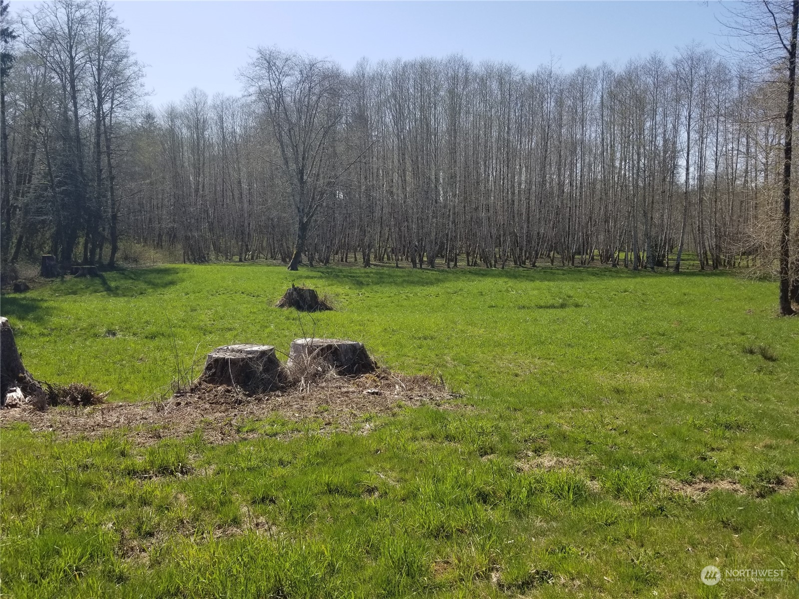 0 Tuffree Road Hoquiam, WA 98550 - Photo 6 of 10 Gallery Image 6