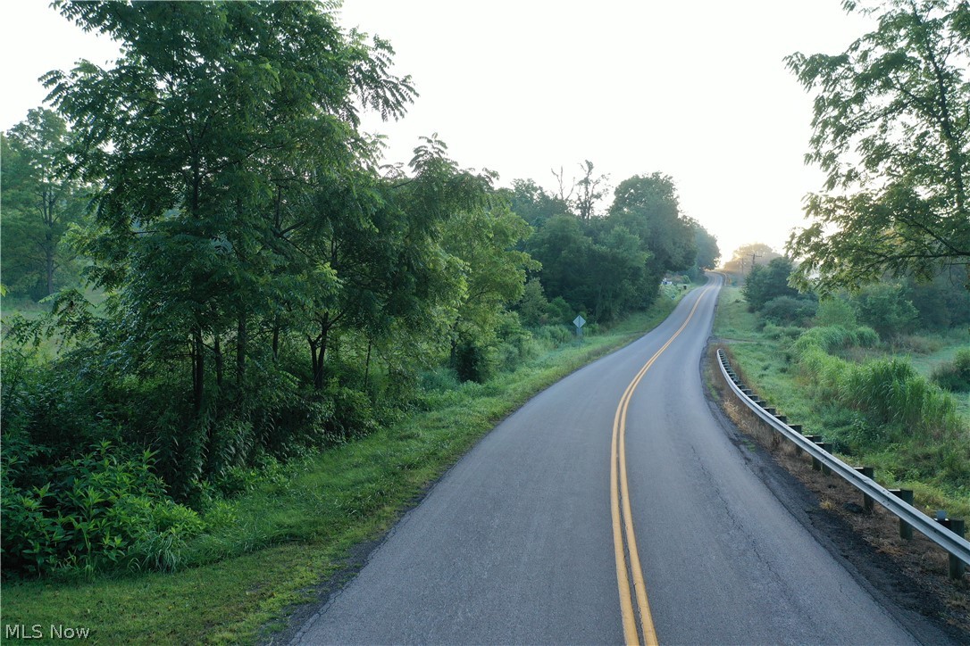 2575 Co Road Loudonville, OH 44842 - Photo 14 of 44 Paved road featuring double yellow lines, flanked by mature trees and verdant foliage