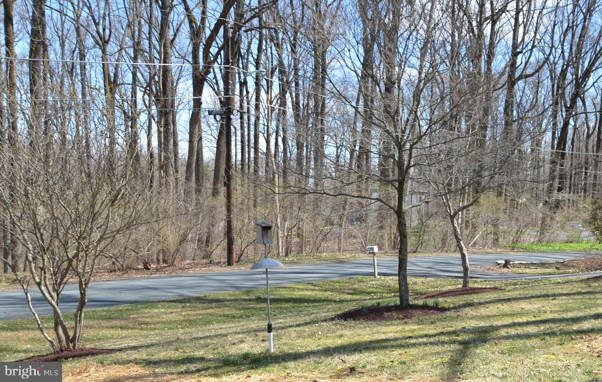 15930 Woods Center Road Silver Spring, MD 20906 - Photo 23 of 33 Front yard view