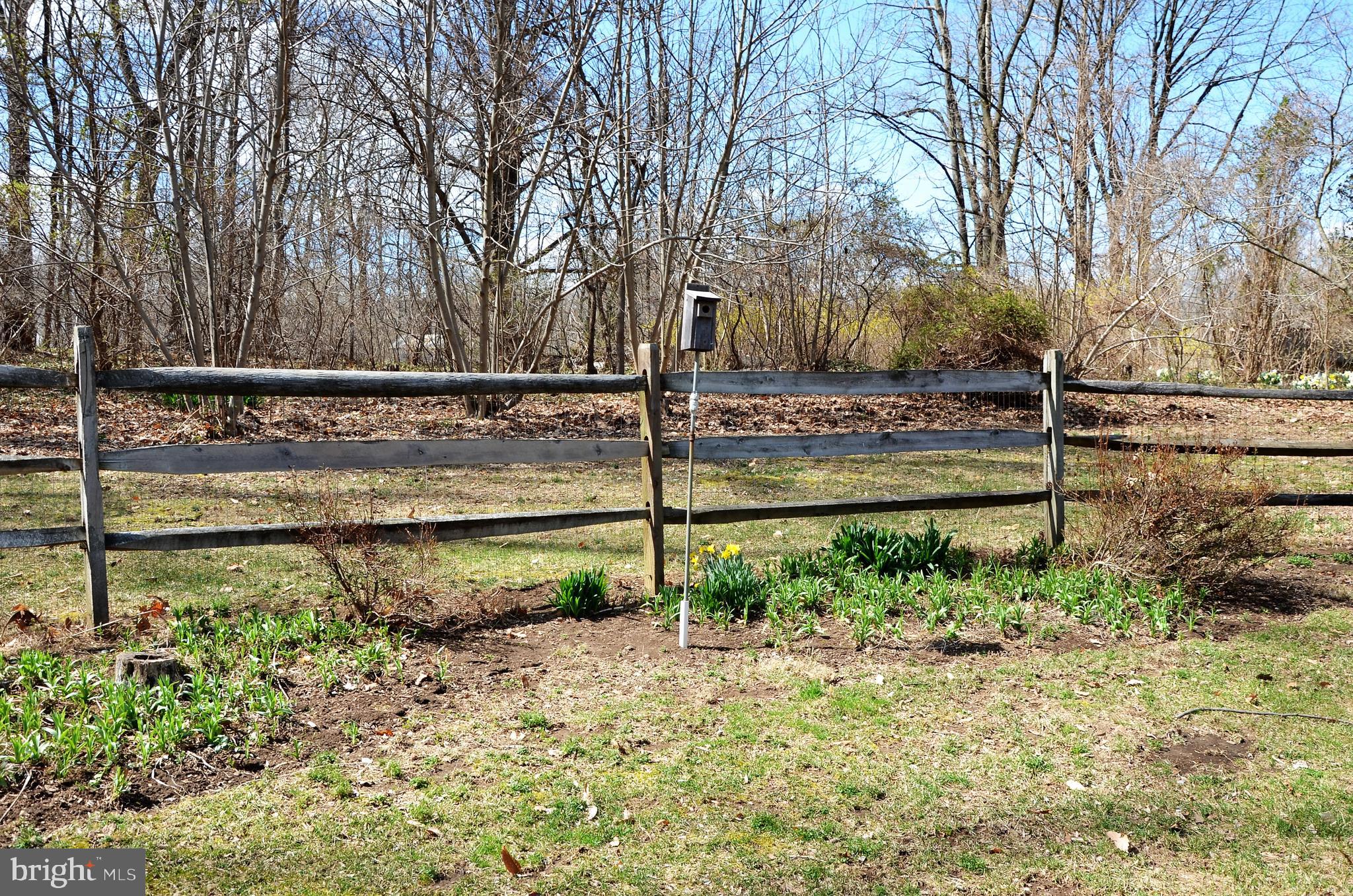 15930 Woods Center Road Silver Spring, MD 20906 - Photo 27 of 33 Beutifuly landscapped