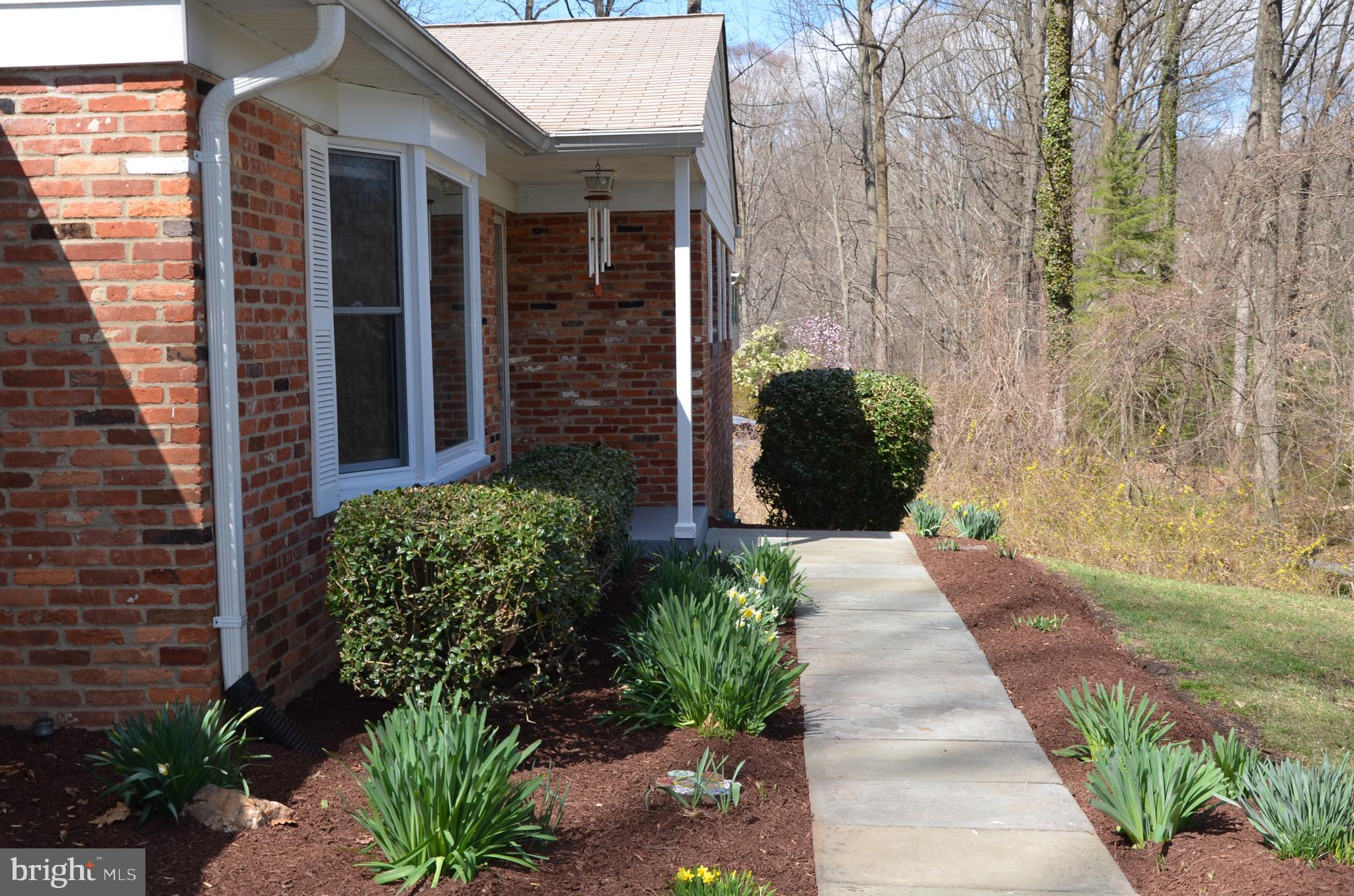 15930 Woods Center Road Silver Spring, MD 20906 - Photo 29 of 33 Beautiffuly landscapped front yard