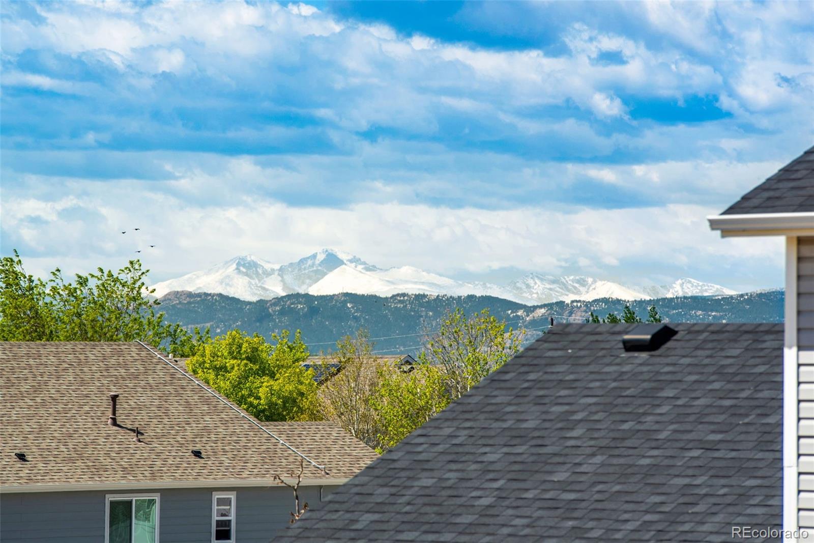 7035 McClellan Road Wellington, CO 80549 - Photo 22 of 43 a view of a terrace with a garden