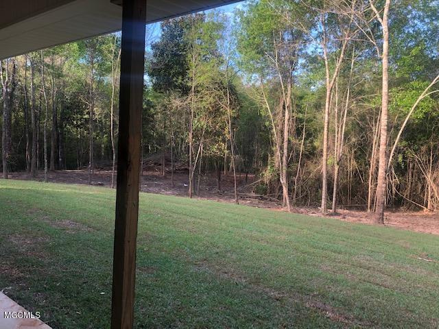 227 Holcomb Carroll Road Carriere, MS 39426 - Photo 15 of 21 Back yard
