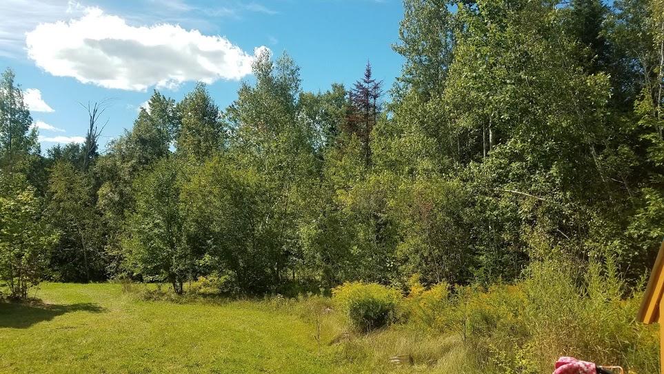 1479 Hudson Road Glenburn, ME 04401 - Photo 12 of 68 Land view
