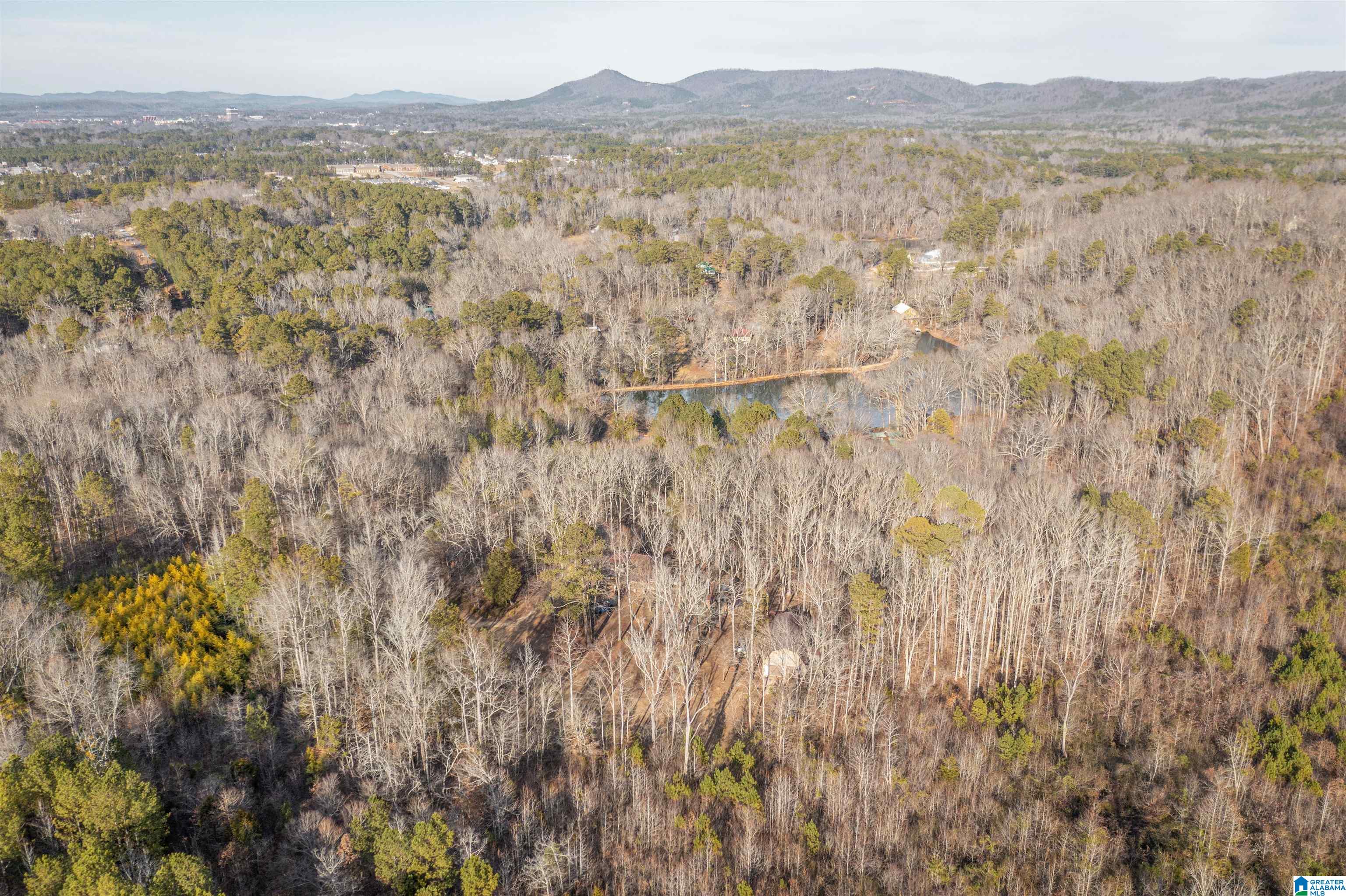 487 Aderholdt Mill Road Jacksonville, AL 36265 - Photo 8 of 34