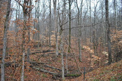 2111 Newsome Gap Road Rising Fawn, GA 30738 - Photo 2 of 5 DSC_0240