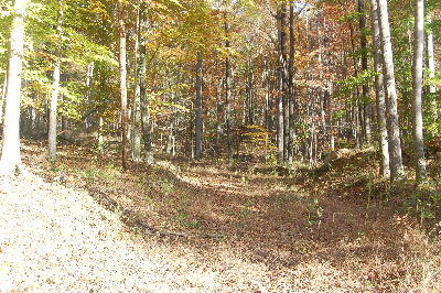 2111 Newsome Gap Road Rising Fawn, GA 30738 - Photo 3 of 5 DSC_1230