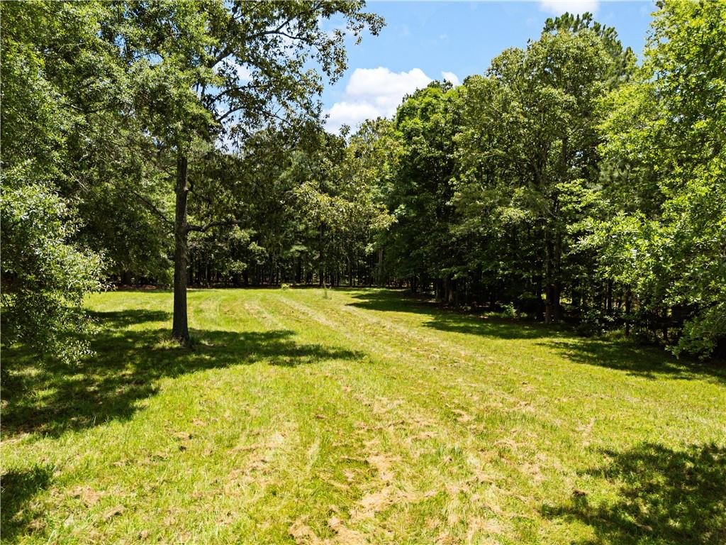 1571 Livingston Road Southwest Rome, GA 30161 - Photo 53 of 57
