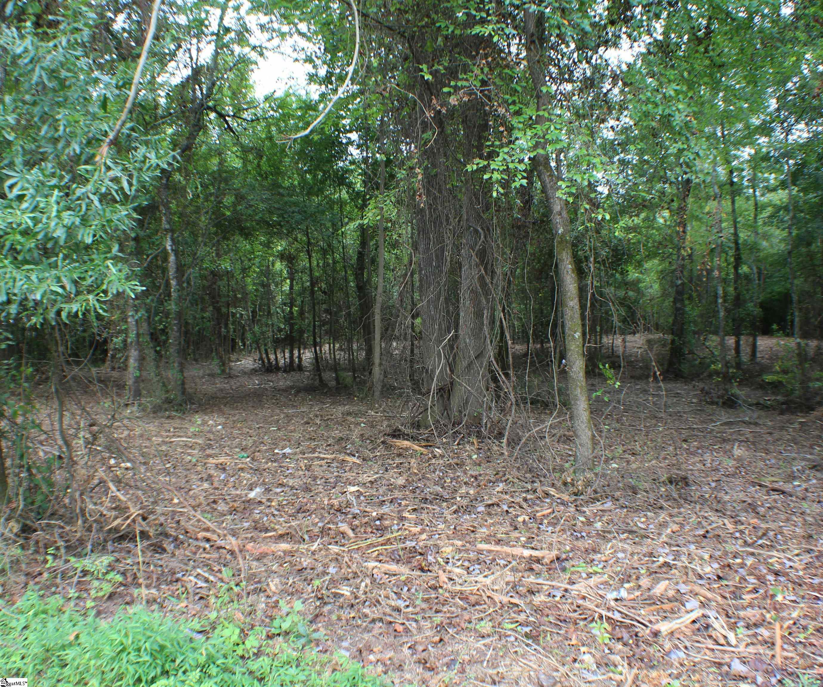 Campbell Road Pelzer, SC 29669 - Photo 3 of 7