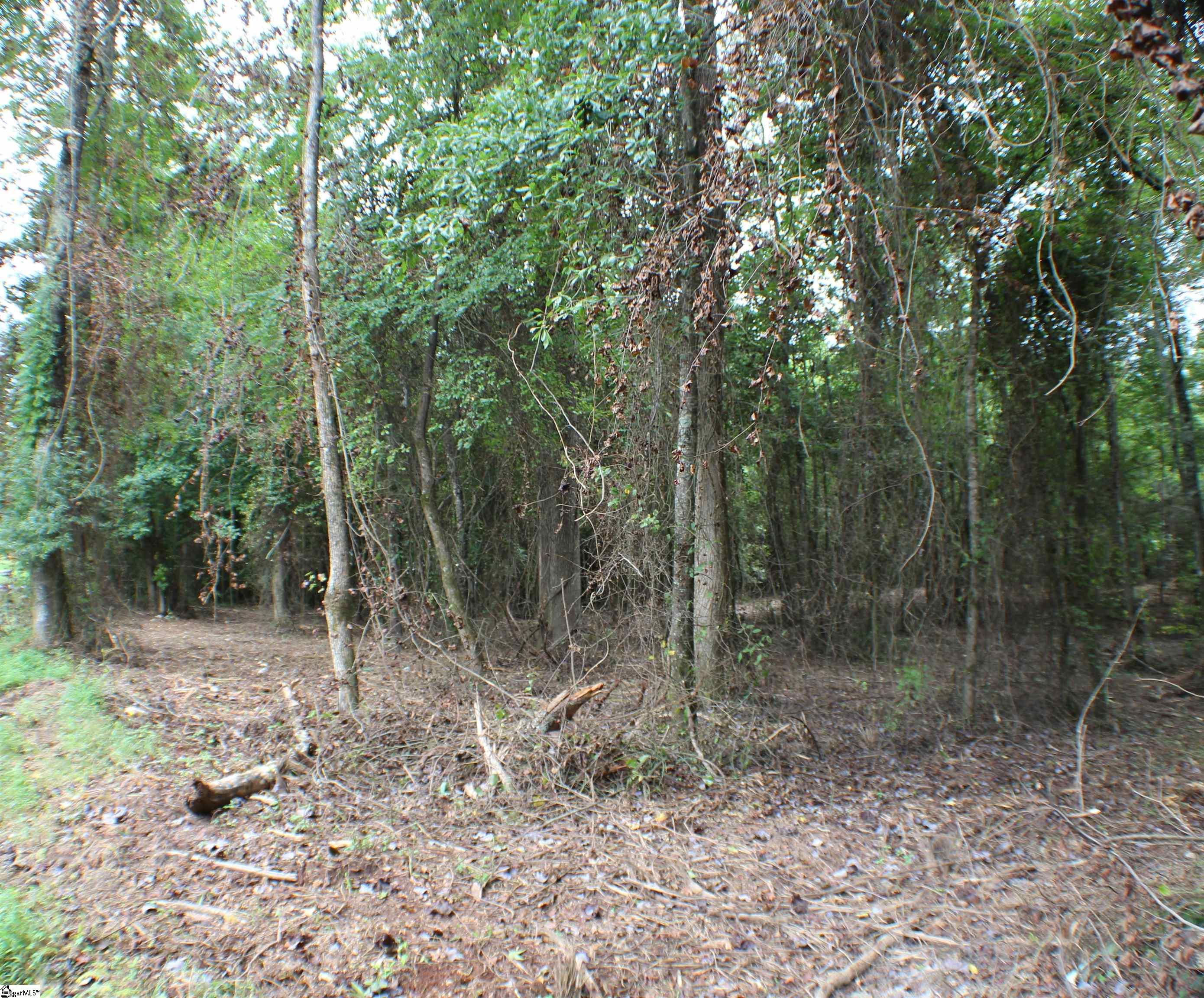 Campbell Road Pelzer, SC 29669 - Photo 4 of 7