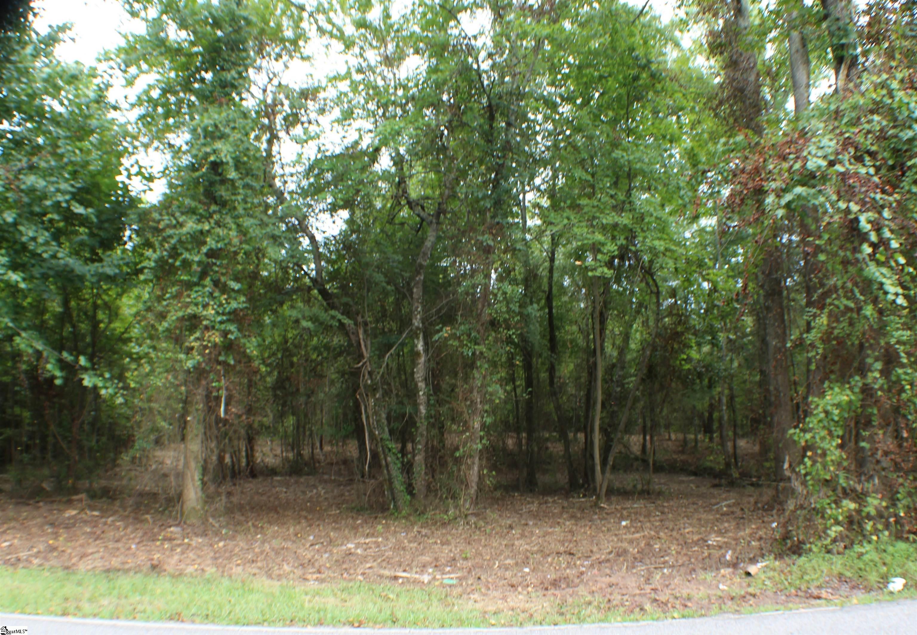 Campbell Road Pelzer, SC 29669 - Photo 5 of 7