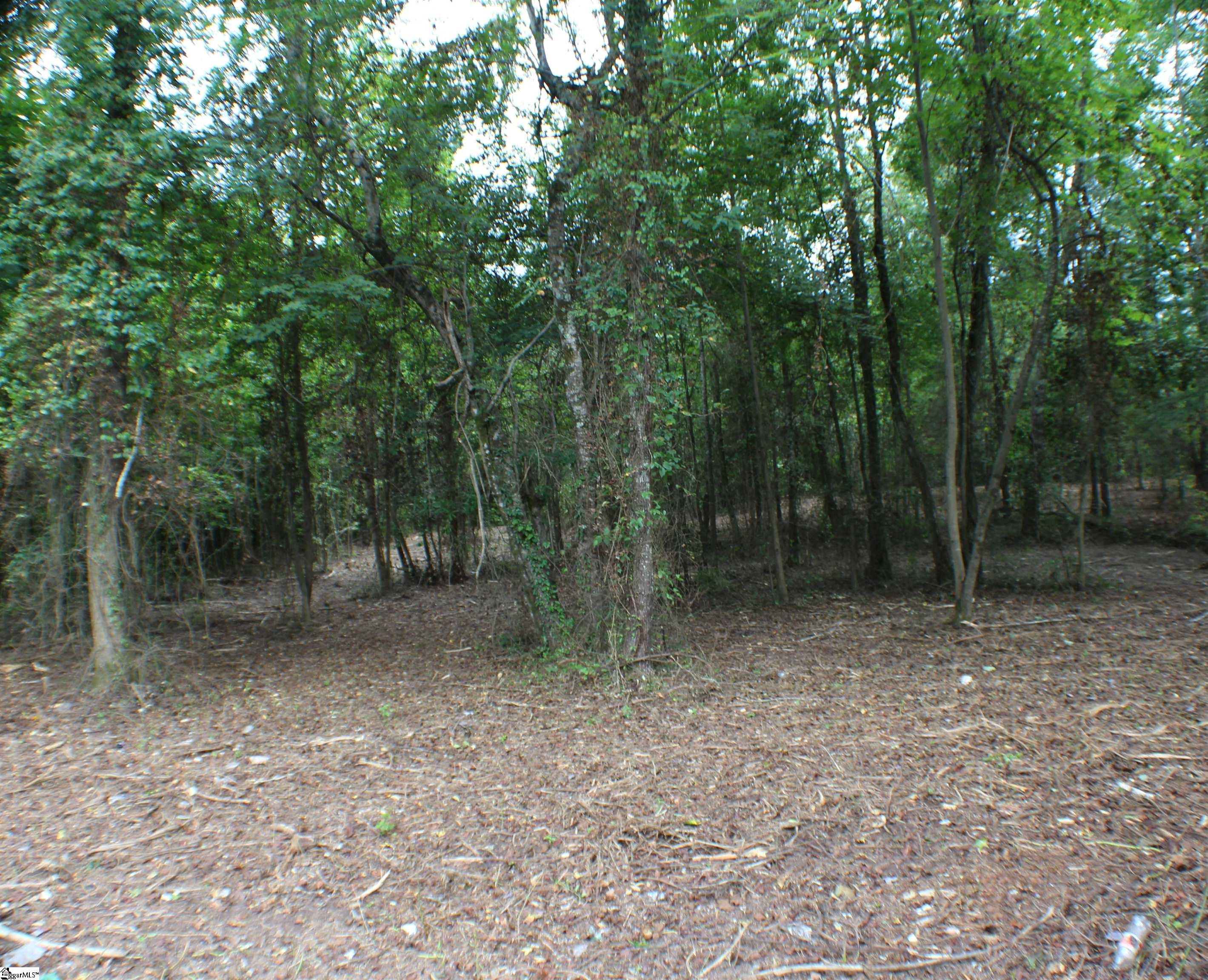 Campbell Road Pelzer, SC 29669 - Photo 6 of 7
