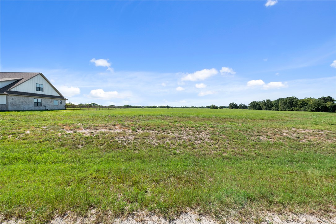 10709 Little Farm Road College Station, TX 77845 - Photo 6 of 7 a view of a garden with an outdoor space