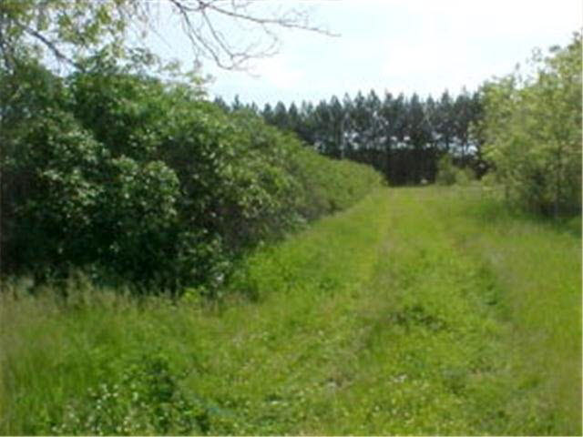 25937 211th Avenue Sebeka, MN 56477 - Photo 1 of 2 Gallery Image 1