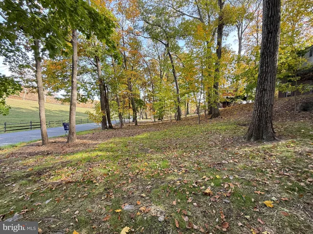 a view of a lake from a yard