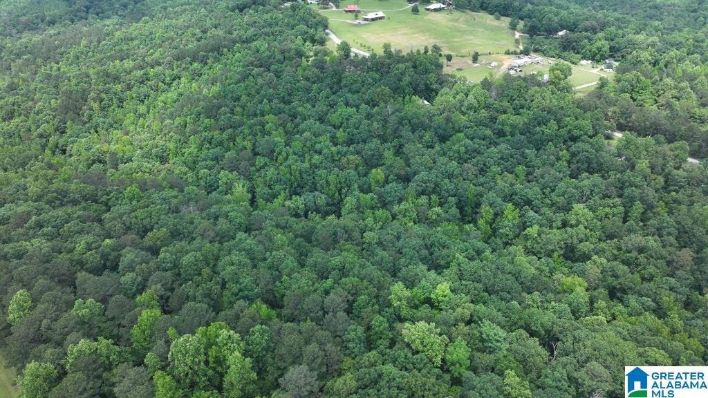 570 Culwell Road Hayden, AL 35079 - Photo 12 of 21