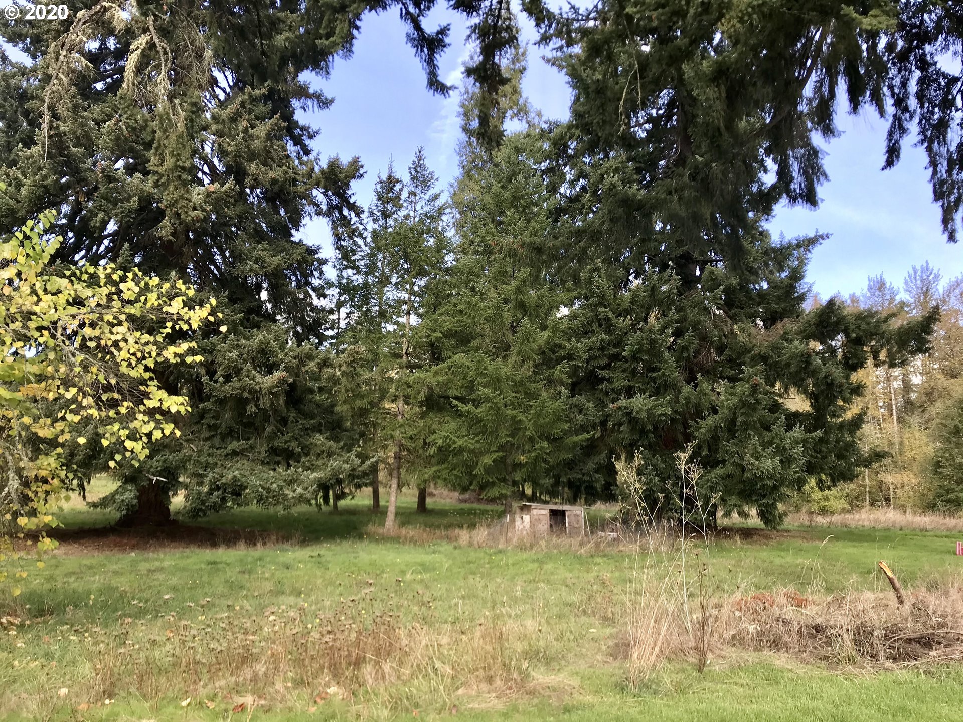 78153 Mosby Creek Road Cottage Grove, OR 97424 - Photo 29 of 31 Gallery Image 29