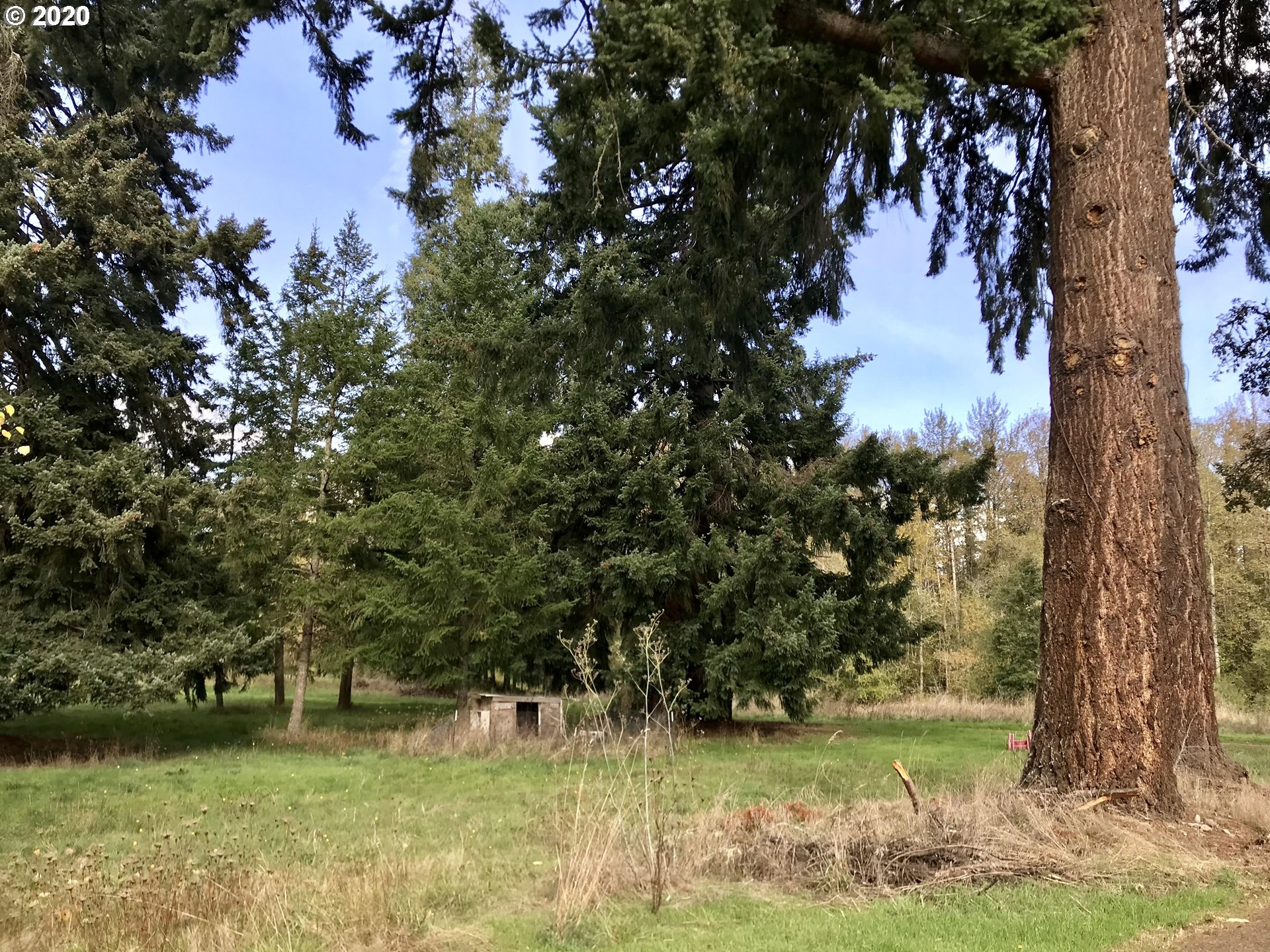 78153 Mosby Creek Road Cottage Grove, OR 97424 - Photo 31 of 31 Gallery Image 31