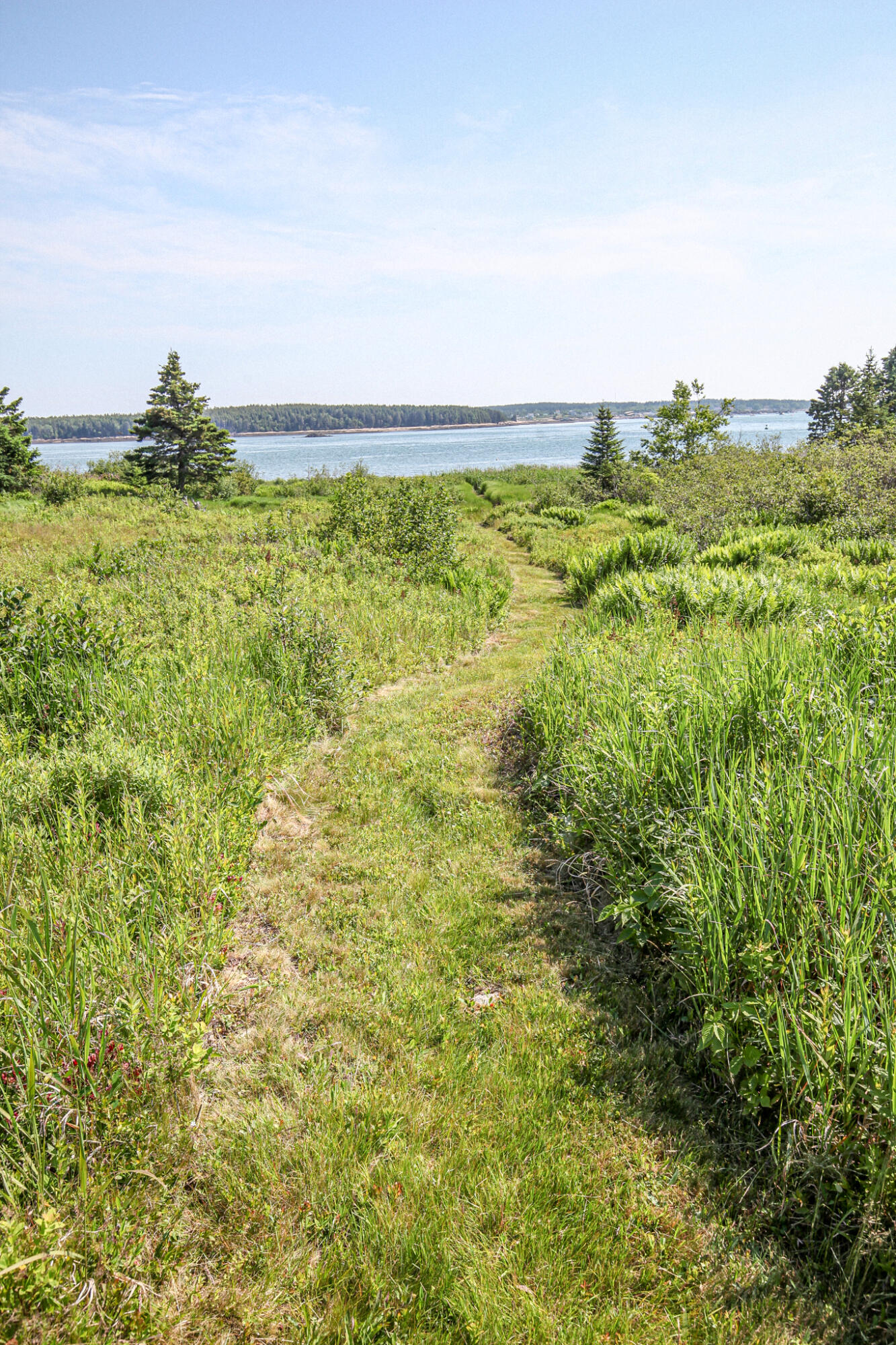 107 Kelley Point Road Jonesport, ME 04649 - Photo 73 of 95 IMG_0020